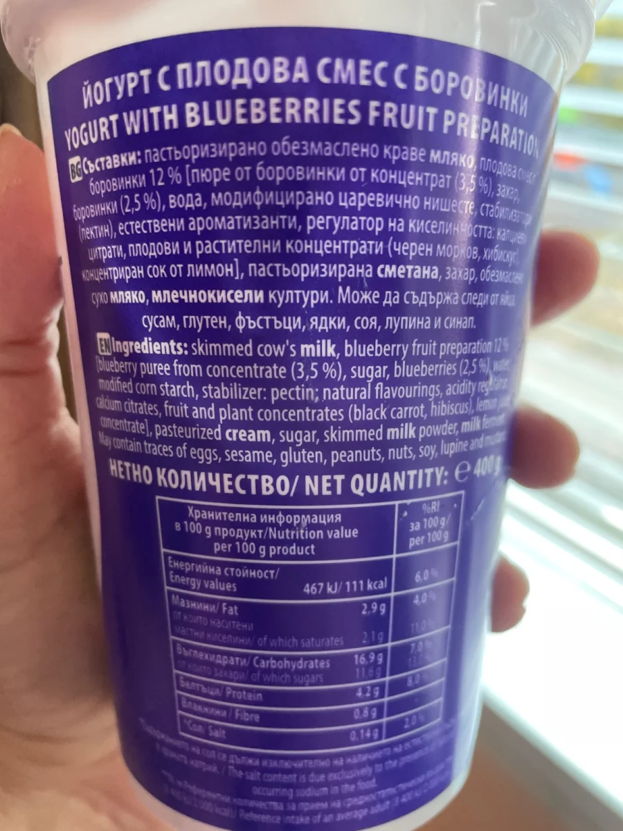 Blueberry Yogurt - Yomax