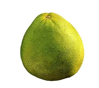 Помело (зелено)