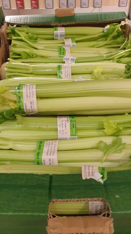 Целина стъбла