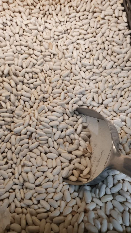 Бял боб насипен - Cornfarm