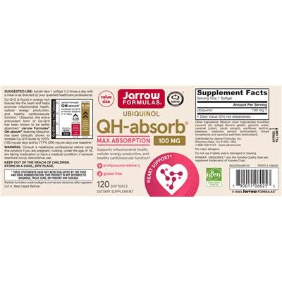 QH-absorb 100 mg