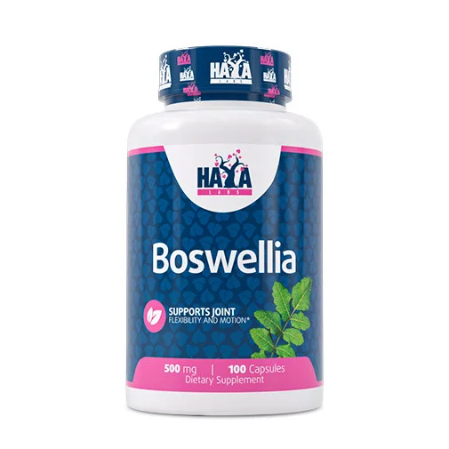 Boswellia Extract 500 mg / 100 Caps
