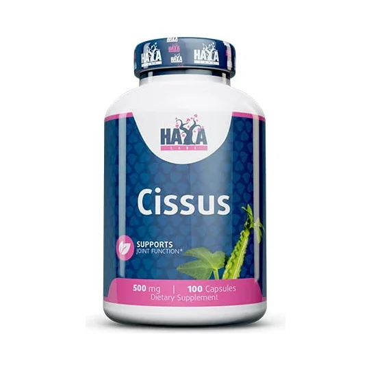 Cissus 500 mg / 100 Caps - Haya Labs