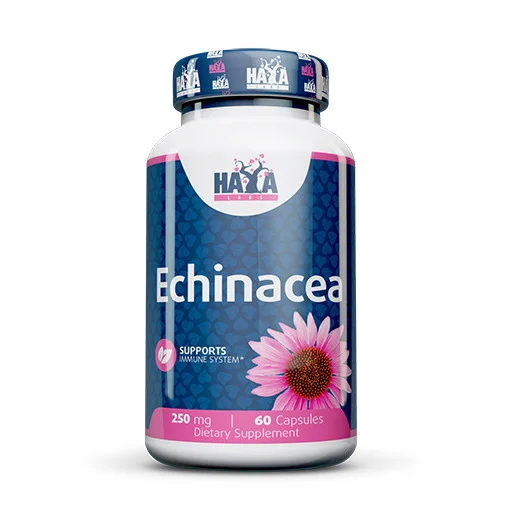Echinacea 250 mg / 60 Caps