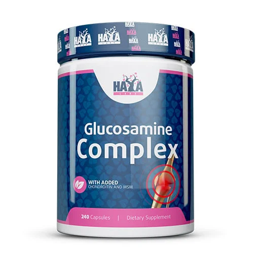 Glucosamine Chondroitin & MSM Complex / 240 Caps / 240g
