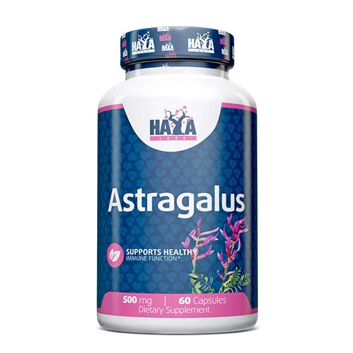 Astragalus 500 mg / 60 Caps