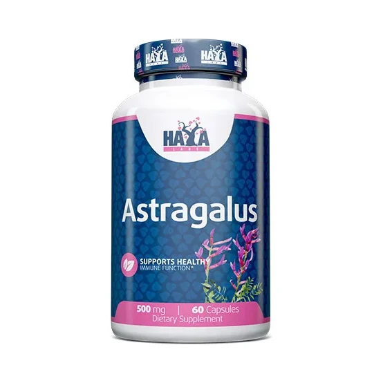 Astragalus 500 mg / 60 Caps - Haya Labs