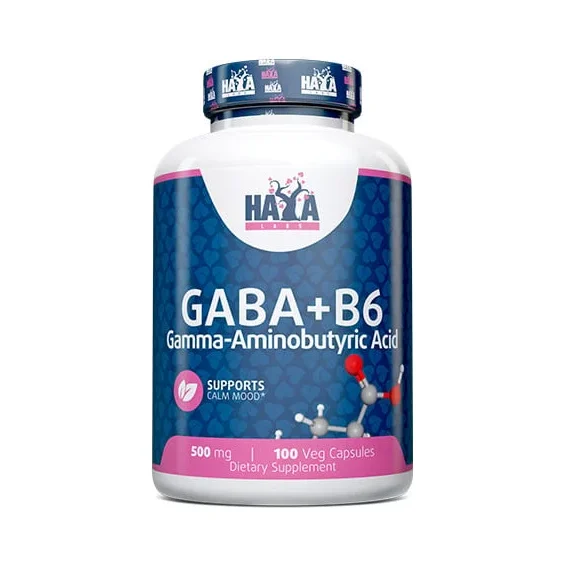 GABA + B-6 500 mg / 100 Vcaps - Haya Labs