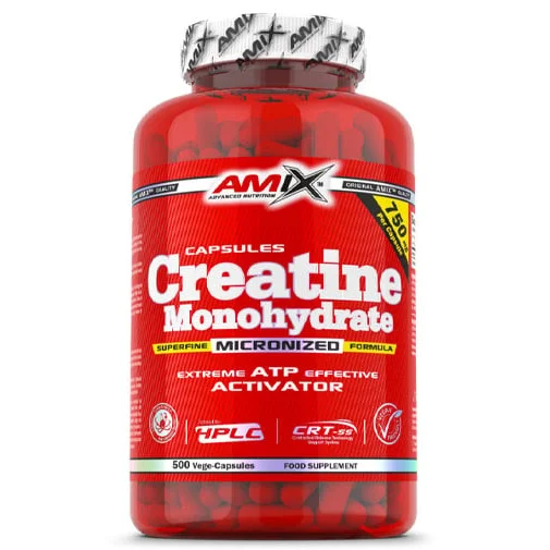 Creatine Monohydrate / 500 Caps / 300g