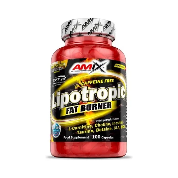 Lipotropic Fat Burner / 100 Caps / 100g - Amix