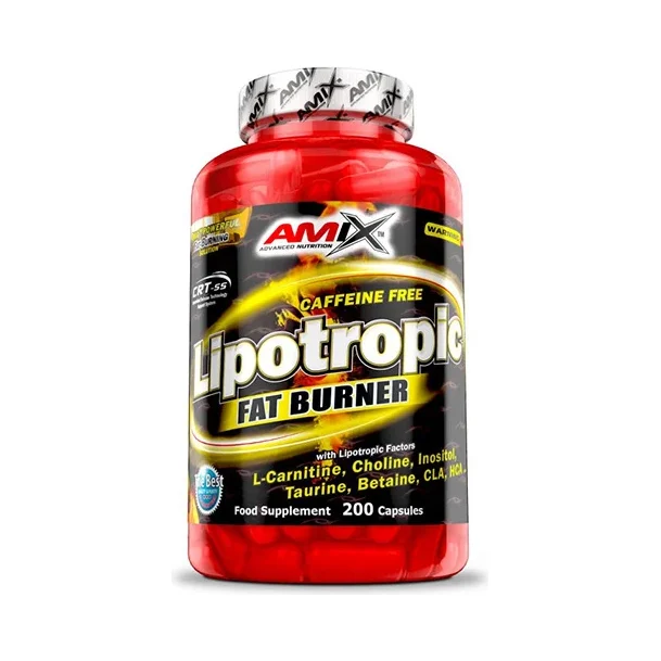 Lipotropic Fat Burner / 200 Caps (40 дози) / 200g - Amix