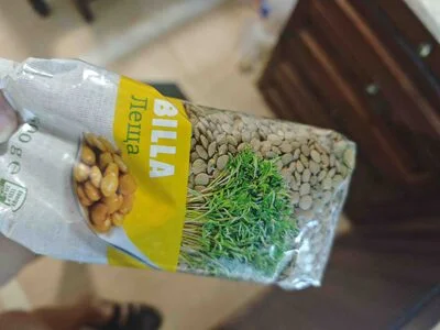 Леща, чечевица, lentils - Billa