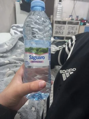 Изворна вода - Saguaro