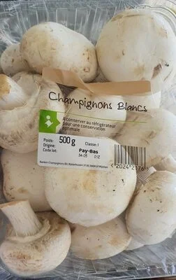 Бели печурки - Euro Champignon