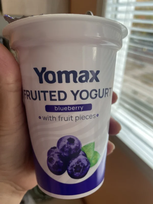 Blueberry Yogurt