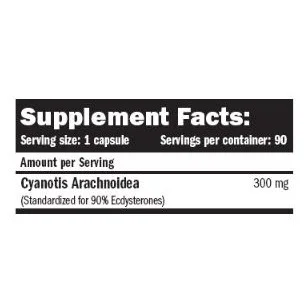 Beta-EcdyX Pure 90 Caps. - Amix