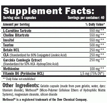 Lipotropic Fat Burner / 200 Caps (40 дози) / 200g - Amix