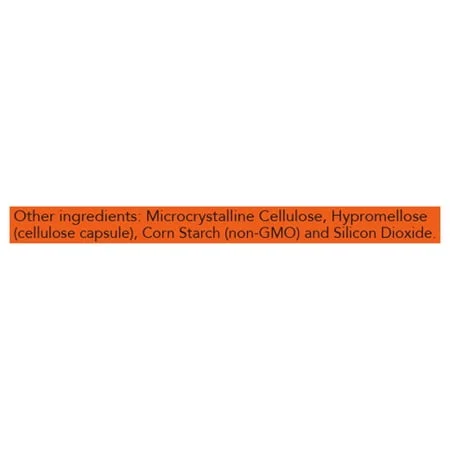 Подкрепа за чревни бактерии / Intestinal Bacteria Support - NOW