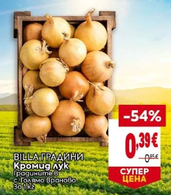 BILLA ГРАДИНИ Кромид лук Градините в с. Голямо Враново 1 кг