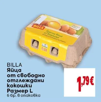 BILLA Яйца от свободно отглеждани кокошки Размер L 6 бр. в опаковка
