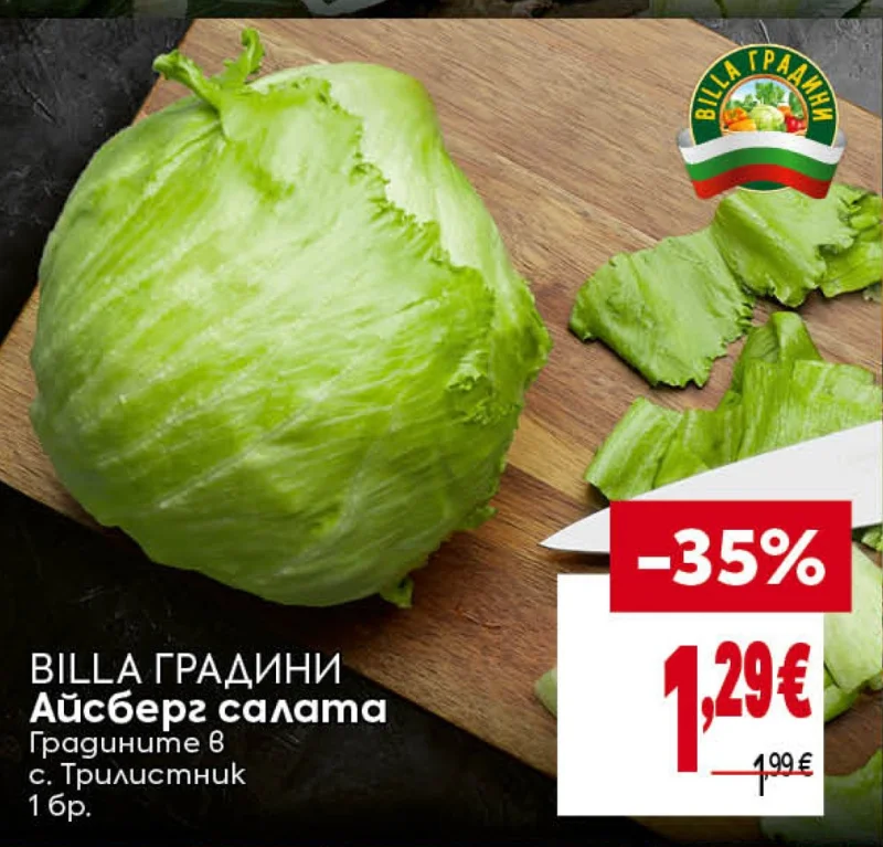 BILLA ГРАДИНИ Айсберг салата 1 бр.