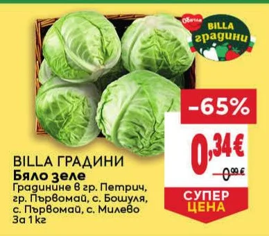 BILLA ГРАДИНИ Бяло зеле 1 кг