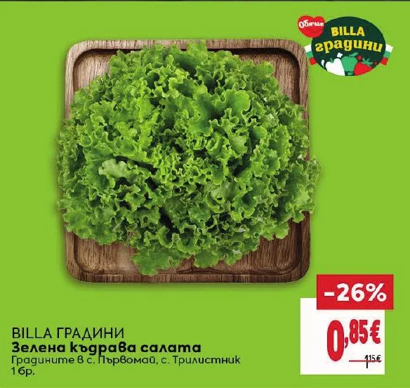 BILLA ГРАДИНИ Зелена къдрава салата 1 бр.