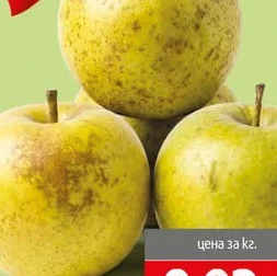 Ябълка България II кг