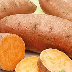 Сладък Картоф
