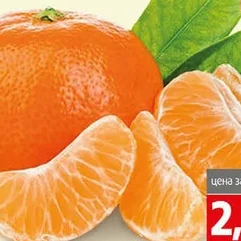 Мандарина ІІ