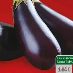 Патладжан ІІ