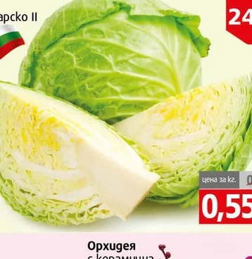 Зеле Българско II кг