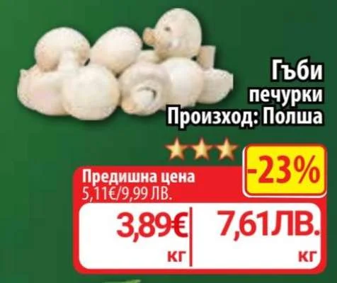 Произход: Полша Гъби печурки кг