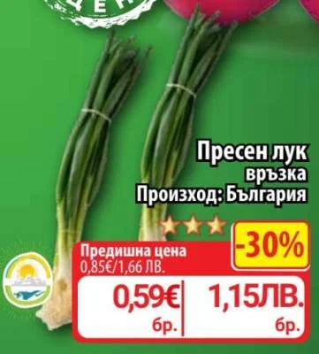 Пресен лук връзка 6 бр.