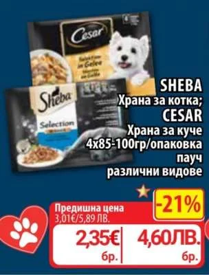 Hrana za kotki