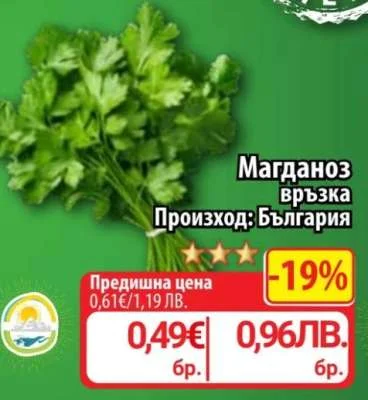 Магданоз връзка 1 бр.