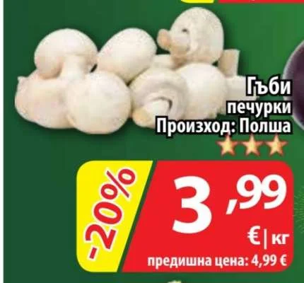 Гъби печурки