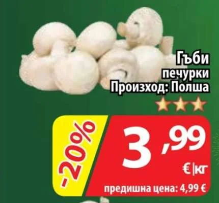 Гъби печурки