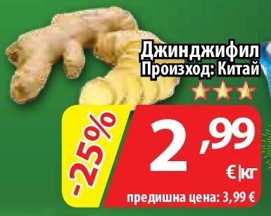 Джинджифил