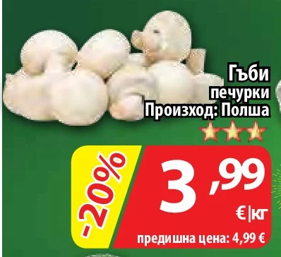 Гъби печурки