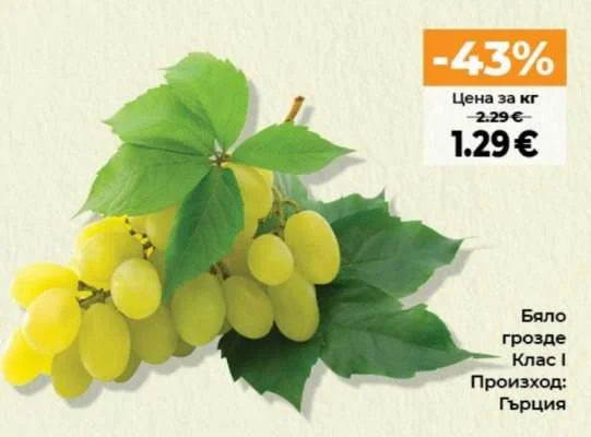 Бяло грозде Клас І