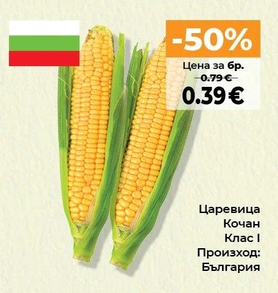 Царевица Кочан Клас І