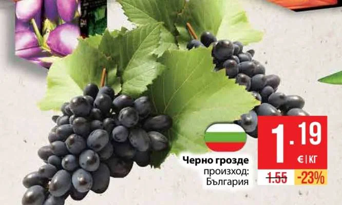 Черно грозде