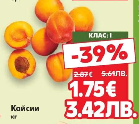 Кайсии кг
