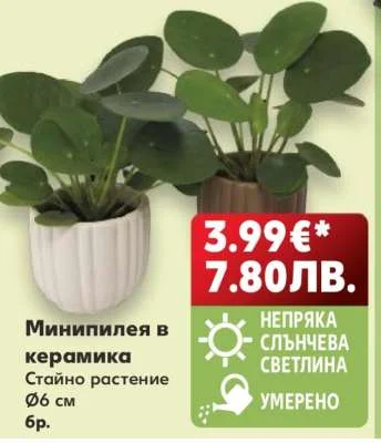 Минипилея в керамика 6 см