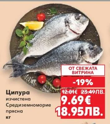 Ципура очистена Средиземноморие прясна кг