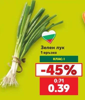 Зелен лук 1 връзка