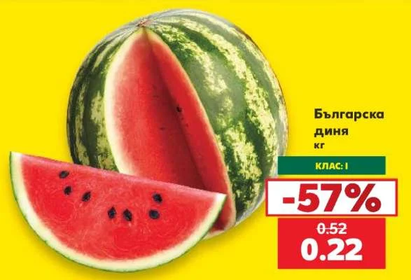 Българска диня кг