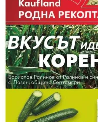Краставици