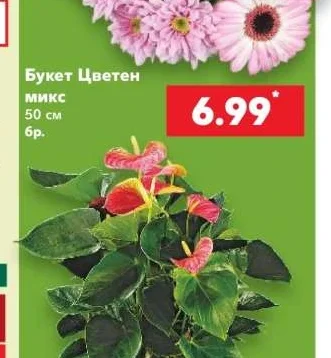 Букет Цветен микс 50 см бр.